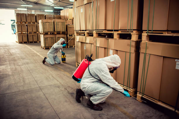 Best Flea Control Services  in Church Rock, NM