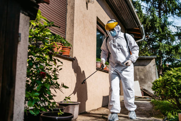 Best Affordable Pest Control Services  in Church Rock, NM