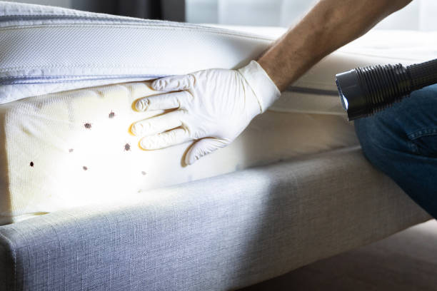 Best Best Pest Control Companies  in Church Rock, NM
